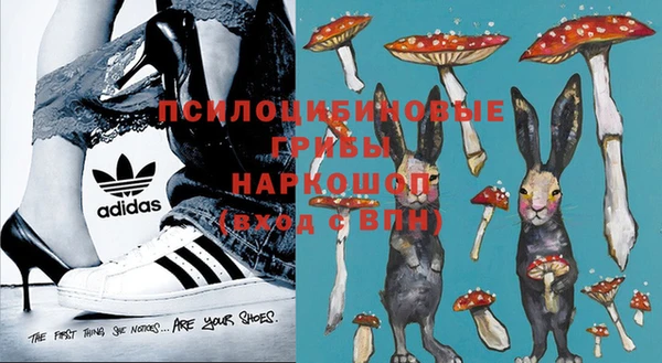 мяу мяу кристалл Переславль-Залесский