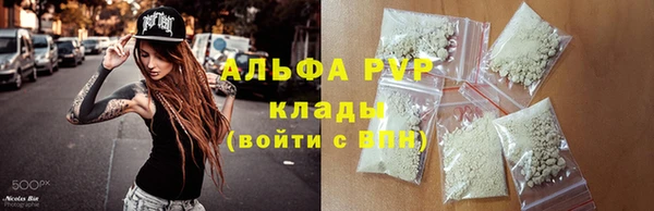 стаф Пестово